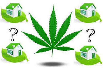 Photo for Cannabis Conversations for Homeowners and Commercial Tips blog post